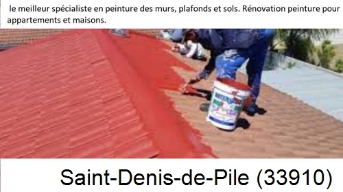 Artisan Peintre Saint-Denis-de-Pile-33910