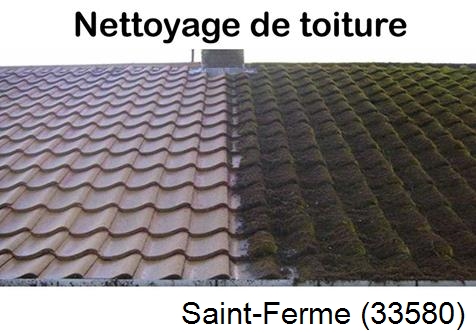 Travaux démoussage toiture Saint-Ferme-33580