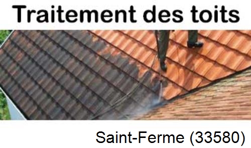 Entreprise de peinture toiture Saint-Ferme-33580