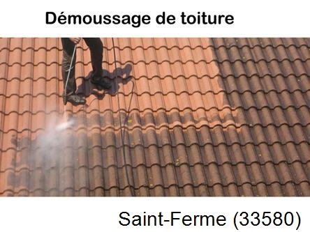 Rénovation démoussage et nettoyage en gironde Saint-Ferme-33580
