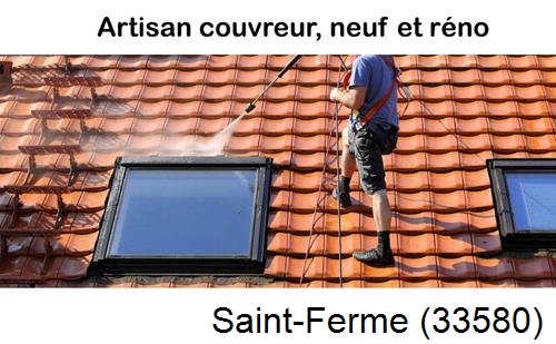 Anti-mousse sur toiture Saint-Ferme-33580