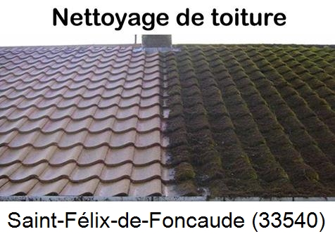 Travaux démoussage toiture Saint-Félix-de-Foncaude-33540