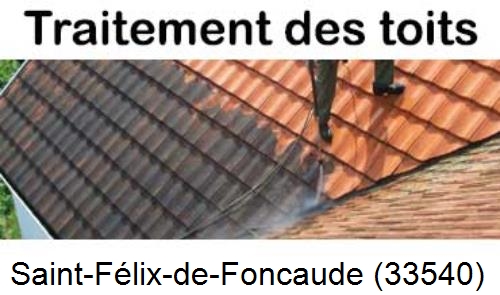 Entreprise de peinture toiture Saint-Félix-de-Foncaude-33540