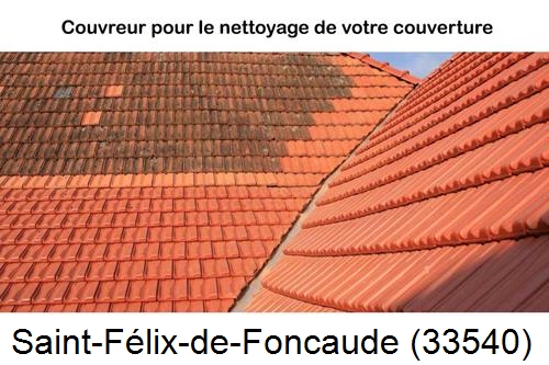 Avant après démoussage Saint-Félix-de-Foncaude-33540