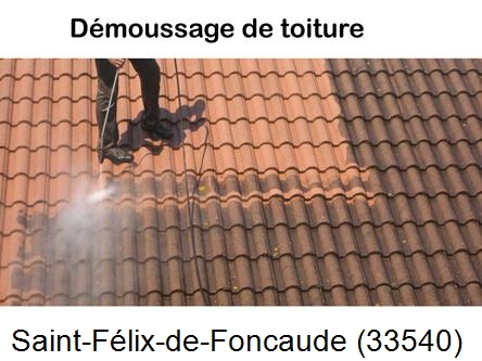 Rénovation démoussage et nettoyage en gironde Saint-Félix-de-Foncaude-33540