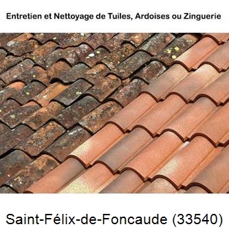 démoussage Saint-Félix-de-Foncaude-33540