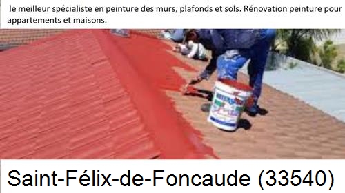Artisan Peintre Saint-Félix-de-Foncaude-33540