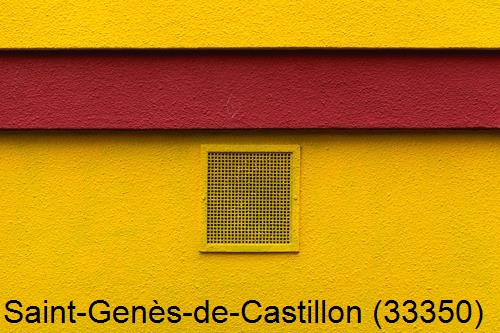 Peintre 33 Saint-Genès-de-Castillon-33350