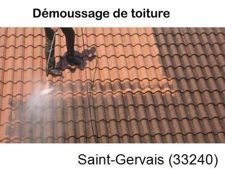 Rénovation démoussage et nettoyage en gironde Saint-Gervais-33240