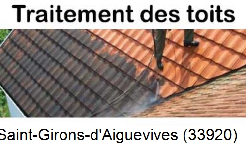 Entreprise de peinture toiture Saint-Girons-d'Aiguevives-33920