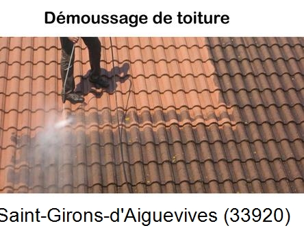 Rénovation démoussage et nettoyage en gironde Saint-Girons-d'Aiguevives-33920