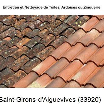 démoussage Saint-Girons-d'Aiguevives-33920