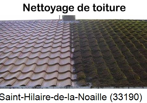 Travaux démoussage toiture Saint-Hilaire-de-la-Noaille-33190