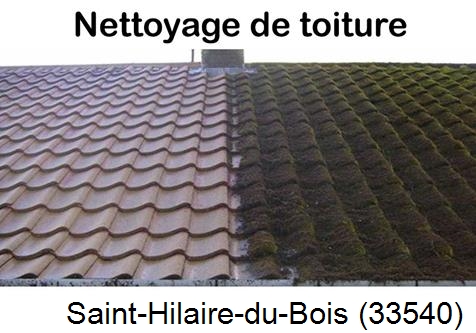 Travaux démoussage toiture Saint-Hilaire-du-Bois-33540