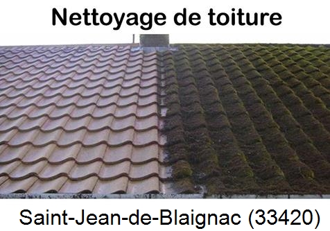 Travaux démoussage toiture Saint-Jean-de-Blaignac-33420