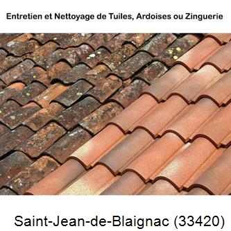 démoussage Saint-Jean-de-Blaignac-33420