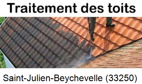 Entreprise de peinture toiture Saint-Julien-Beychevelle-33250