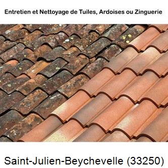 démoussage Saint-Julien-Beychevelle-33250