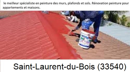 Artisan Peintre Saint-Laurent-du-Bois-33540