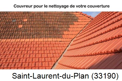 Avant après démoussage Saint-Laurent-du-Plan-33190
