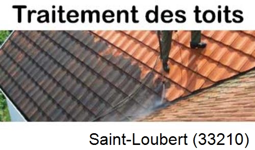 Entreprise de peinture toiture Saint-Loubert-33210