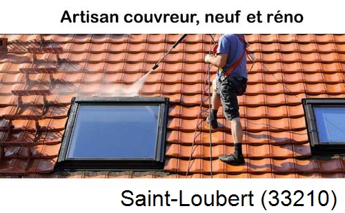 Anti-mousse sur toiture Saint-Loubert-33210