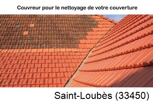 Avant après démoussage Saint-Loubès-33450