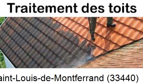 Entreprise de peinture toiture Saint-Louis-de-Montferrand-33440