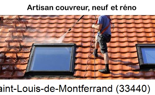 Anti-mousse sur toiture Saint-Louis-de-Montferrand-33440