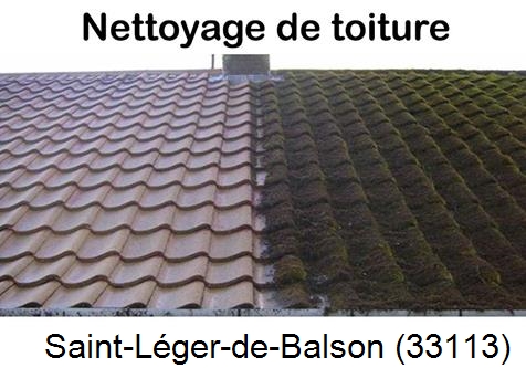 Travaux démoussage toiture Saint-Léger-de-Balson-33113