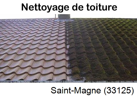 Travaux démoussage toiture Saint-Magne-33125
