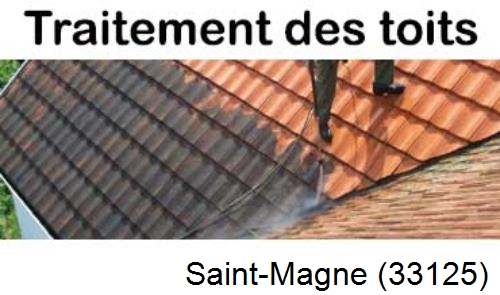 Entreprise de peinture toiture Saint-Magne-33125