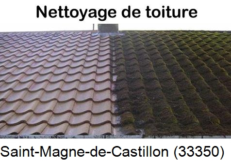 Travaux démoussage toiture Saint-Magne-de-Castillon-33350