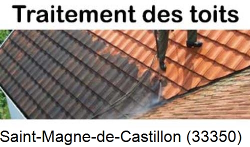 Entreprise de peinture toiture Saint-Magne-de-Castillon-33350