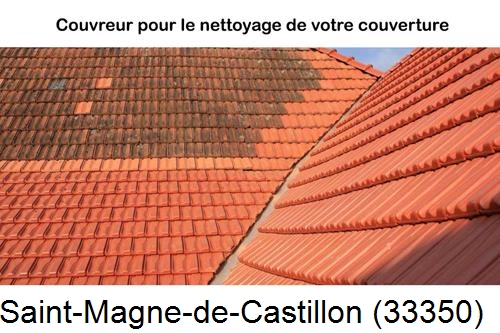 Avant après démoussage Saint-Magne-de-Castillon-33350