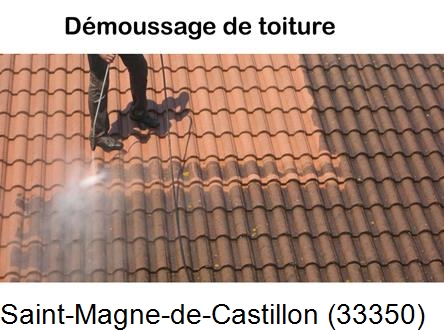 Rénovation démoussage et nettoyage en gironde Saint-Magne-de-Castillon-33350