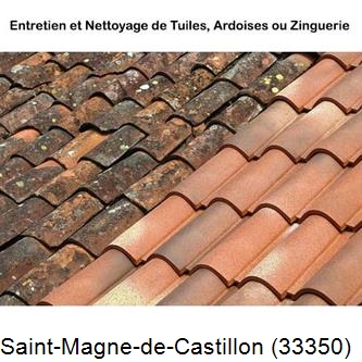démoussage Saint-Magne-de-Castillon-33350