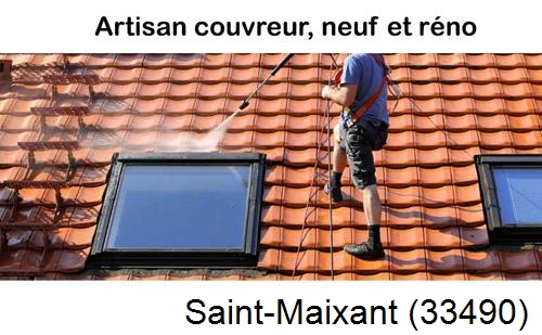 Anti-mousse sur toiture Saint-Maixant-33490