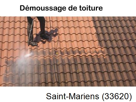 Rénovation démoussage et nettoyage en gironde Saint-Mariens-33620