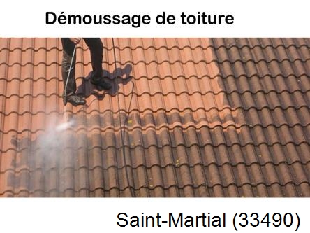 Rénovation démoussage et nettoyage en gironde Saint-Martial-33490