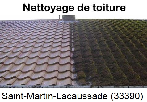 Travaux démoussage toiture Saint-Martin-Lacaussade-33390