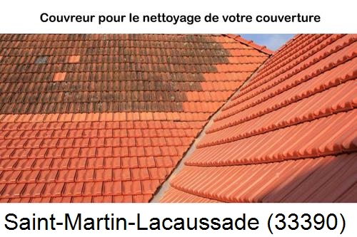 Avant après démoussage Saint-Martin-Lacaussade-33390