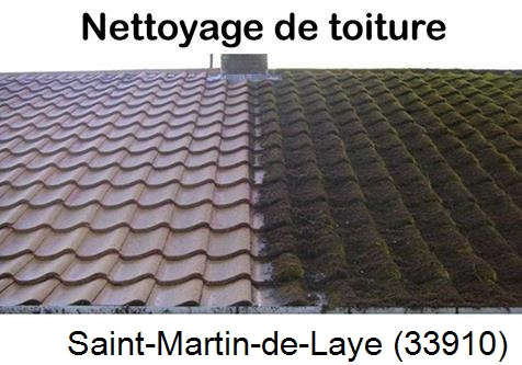 Travaux démoussage toiture Saint-Martin-de-Laye-33910