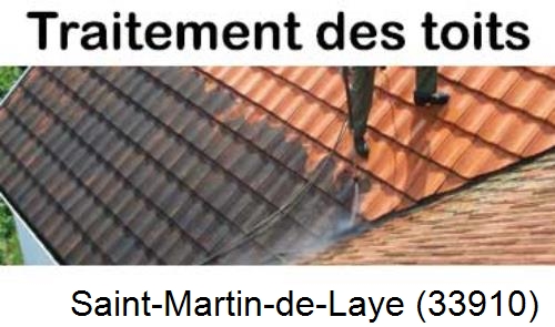 Entreprise de peinture toiture Saint-Martin-de-Laye-33910