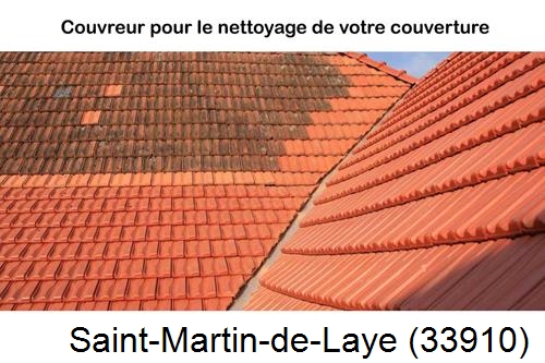 Avant après démoussage Saint-Martin-de-Laye-33910