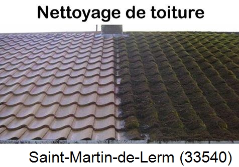 Travaux démoussage toiture Saint-Martin-de-Lerm-33540