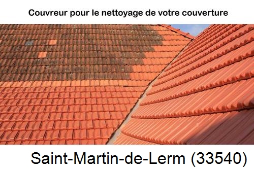 Avant après démoussage Saint-Martin-de-Lerm-33540