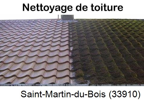 Travaux démoussage toiture Saint-Martin-du-Bois-33910