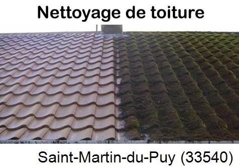 Travaux démoussage toiture Saint-Martin-du-Puy-33540