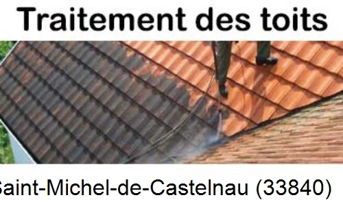Entreprise de peinture toiture Saint-Michel-de-Castelnau-33840